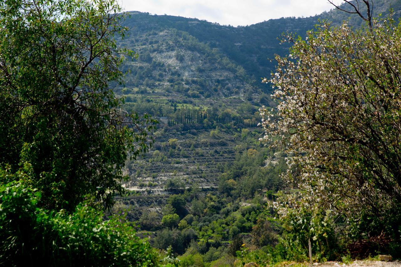 The Old Olive Mill House By Trulycyprus Villa Dhoros Exterior photo